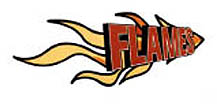 Artland Dragons Flames Cheerleaders - Quakenbrck