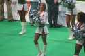 Thumbs/tn_IMG_8197.jpg