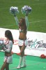 Thumbs/tn_IMG_8222.jpg