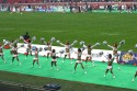 Thumbs/tn_IMG_8239.jpg