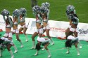 Thumbs/tn_IMG_8256.jpg