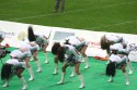 Thumbs/tn_IMG_8257.jpg