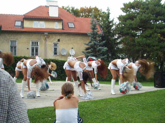 ../Images/P1010031.jpg