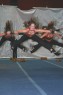 Thumbs/tn_IMG_8277.jpg