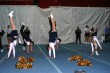 Thumbs/tn_IMG_8302.jpg