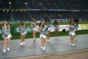 Thumbs/tn_IMG_0270.jpg