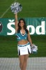 Thumbs/tn_IMG_0545.jpg