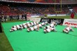 Thumbs/tn_IMG_0220.jpg