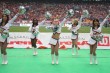 Thumbs/tn_IMG_0237.jpg