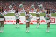 Thumbs/tn_IMG_0239.jpg