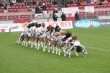 Thumbs/tn_IMG_0531.jpg