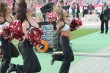 Thumbs/tn_IMG_6204.jpg
