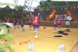 Thumbs/tn_IMG_1655.jpg