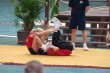 Thumbs/tn_IMG_1692.jpg