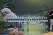 Thumbs/tn_IMG_1743.jpg