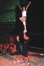 Thumbs/tn_IMG_2349.jpg