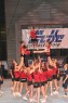Thumbs/tn_IMG_2433.jpg