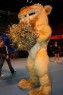 Thumbs/tn_res_597_9756.jpg