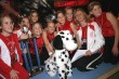 Thumbs/tn_res_598_9801.jpg