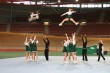 Thumbs/tn_IMG_7832.jpg