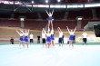 Thumbs/tn_IMG_8129.jpg