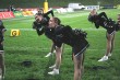 Thumbs/tn_590_9080.jpg
