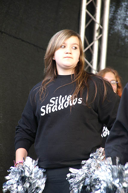 ../Images/silvershadows060.jpg