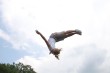 Thumbs/tn_614_1500.jpg