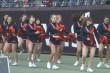Thumbs/tn_IMG_9723.jpg
