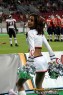 Thumbs/tn_IMG_7690.jpg