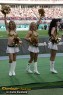 Thumbs/tn_188_8897.jpg
