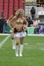 Thumbs/tn_273_7303.jpg