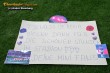 Thumbs/tn_870_7038.jpg