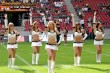 Thumbs/tn_IMG_9544.jpg