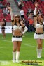 Thumbs/tn_IMG_9547.jpg