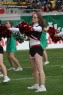Thumbs/tn_874_7458.jpg