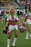 Thumbs/tn_874_7462.jpg