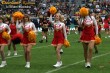 Thumbs/tn_874_7489.jpg