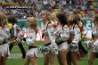Thumbs/tn_875_7521.jpg