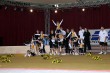 Thumbs/tn_839_3987.jpg