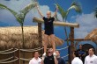 Thumbs/tn_842_4207.jpg