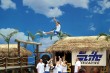 Thumbs/tn_842_4228.jpg