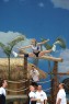 Thumbs/tn_843_4345.jpg