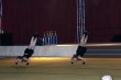 Thumbs/tn_851_5114.jpg