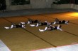 Thumbs/tn_855_5535.jpg