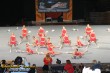 Thumbs/tn_IMG_1954.jpg