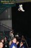 Thumbs/tn_312_1237.jpg