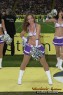 Thumbs/tn_117_1763.jpg