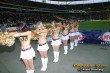 Thumbs/tn_117_1788.jpg