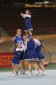Thumbs/tn_895_9586.jpg